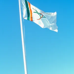 Garden Flag at SB Harbor Avenue of Flags