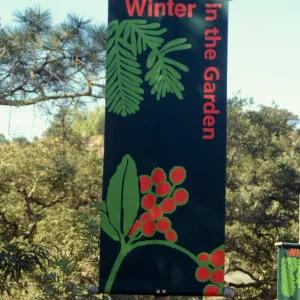 New Winter Banner