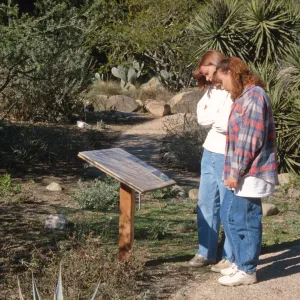 Visitors: Desert Section