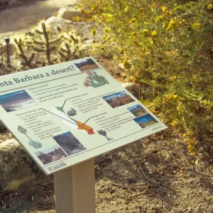 Desert Signage