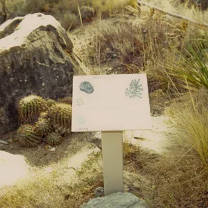 Desert Signage