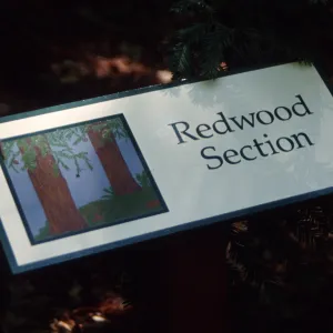 Redwood Section Sign