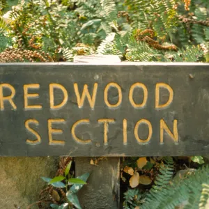 wood 'Redwood Section' sign