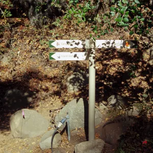 Directional signage in the Redwood Section