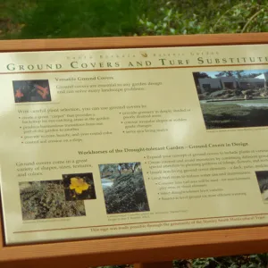 'Ground Covers and Turf Substitutes' Interpretive Panel, Home Demonstration Garden