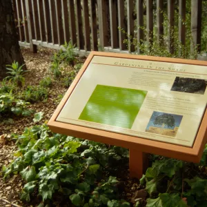 'Gardening in the Shade' Interpretive Panel, Home Demonstration Garden