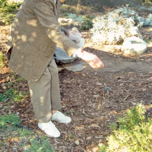 Ann Jones sowing wildflower seeds, Porter Trail, wood bench