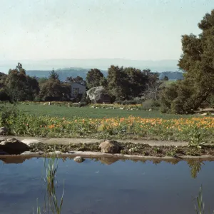 View from top of Meadow to the islands, pool at top of Meadow, Meadow Oaks