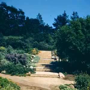 SBBG Entrance Steps, after the parking lot