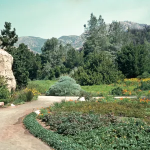 SBBG Meadow, Blaksley Boulder