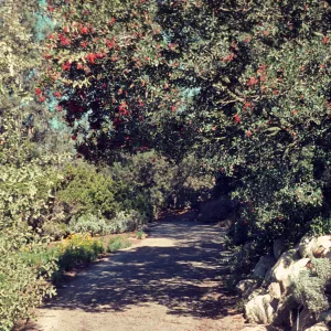 SBBG path