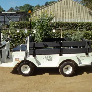 new electric cart 