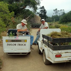 Two trucks