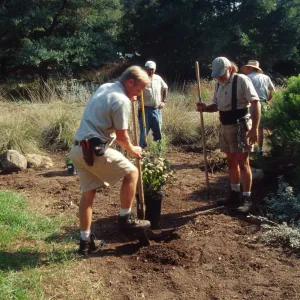 Gardeners and grounds staff planting in the Meadow