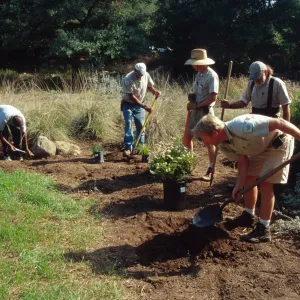 Gardeners and grounds staff planting in the Meadow