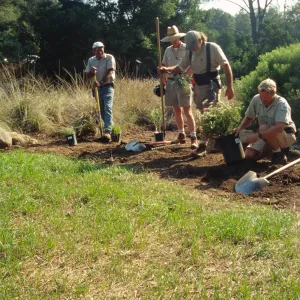 Gardeners and grounds staff planting in the Meadow
