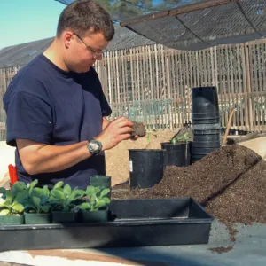 Andrew Wyatt, plant propagator, Horticulture Unit