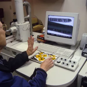 Scanning electron microscope