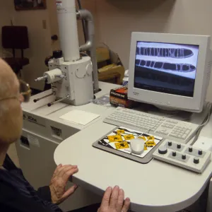 Scanning electron microscope