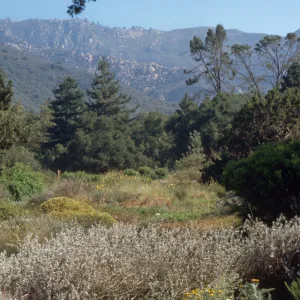 SBBG MEadow, view to the mountains, Garden Works Event
