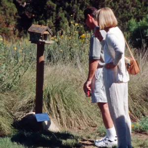 bird house, Garden Works Event