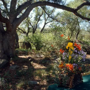 floral arrangement under the Meadow Oaks, Garden Works Event