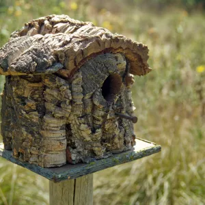 bird house, Garden Works Event