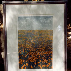 filed of poppies artwork, Garden Works Event