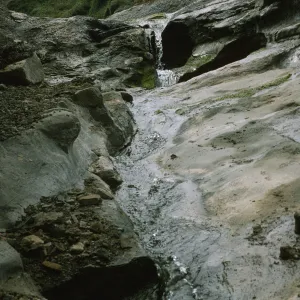 Santa Rosa Island