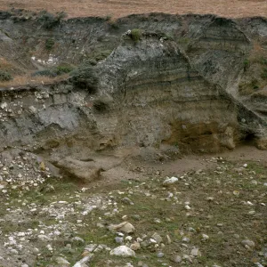 Santa Rosa Island