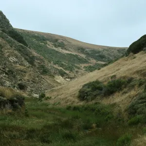 Santa Rosa Island