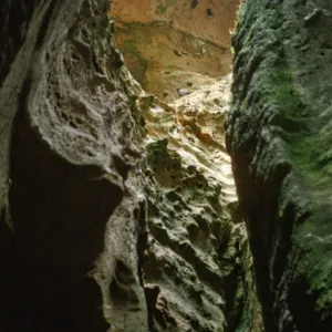 Lobo Canyon