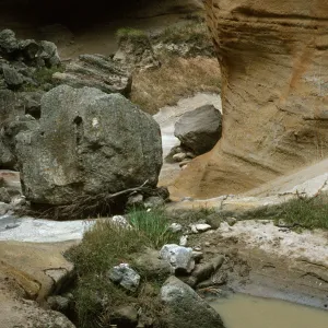 Lobo Canyon