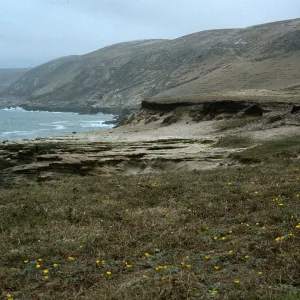 Lobo Canyon, Santa Rosa Island
