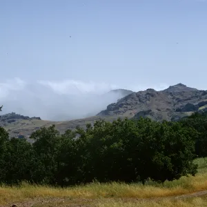 Santa Cruz Island