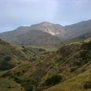 North Ridge, Santa Cruz Island