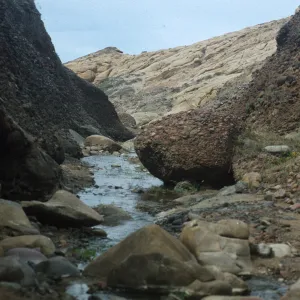 Sauces Canyon, Santa Cruz Island