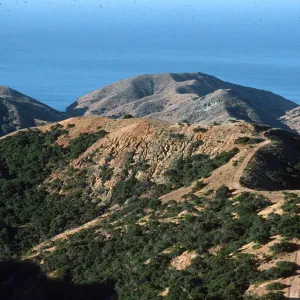 Santa Cruz Island