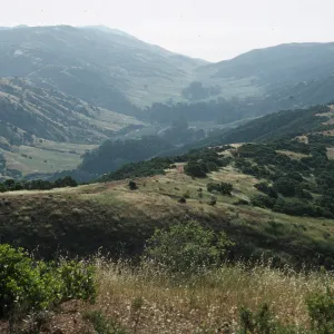 Central Valley, Santa Cruz Island