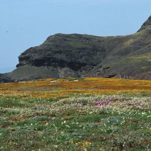 West Point, Santa Cruz Island
