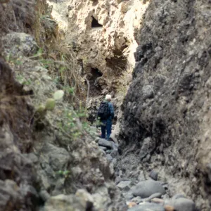 Horse Canyon, San Clemente Island