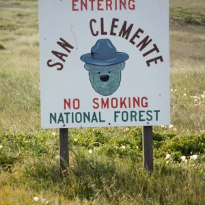 San Clemente National Forest, San Clemente Island
