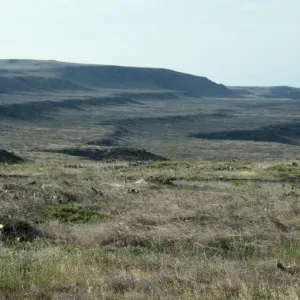 Pleistocene beach terraces, San Clemente Island