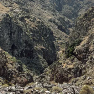 Twin Dams Canyon, San Clemente Island