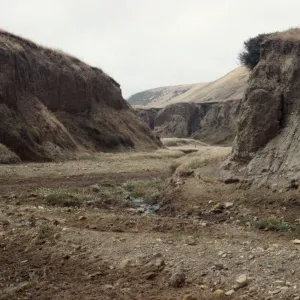 Tecolote Canyon, Santa Rosa Island