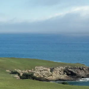 near Bechers Bay, Santa Rosa Island
