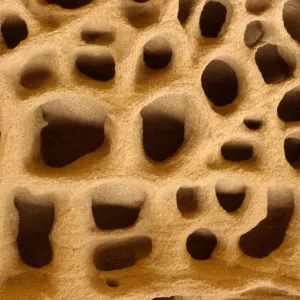 rock formation, Trancion Canyon, Santa Rosa Island