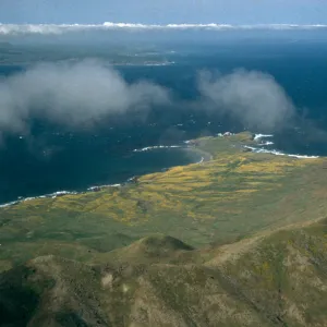 Fraser Point and Santa Rosa Island (from above)