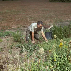 SBBG People - Vic Ceriale by the Meadow