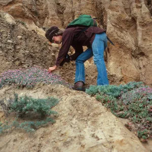 Steve Junak and Corethrogyne